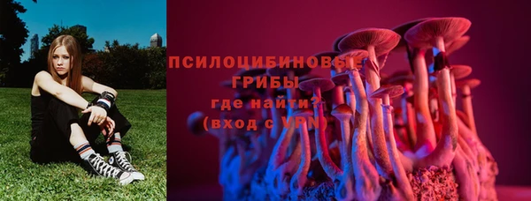 гидра Алексеевка