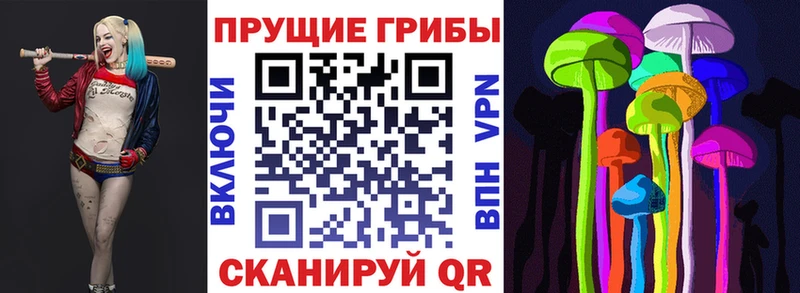 Псилоцибиновые грибы MAGIC MUSHROOMS  kraken   Куса 
